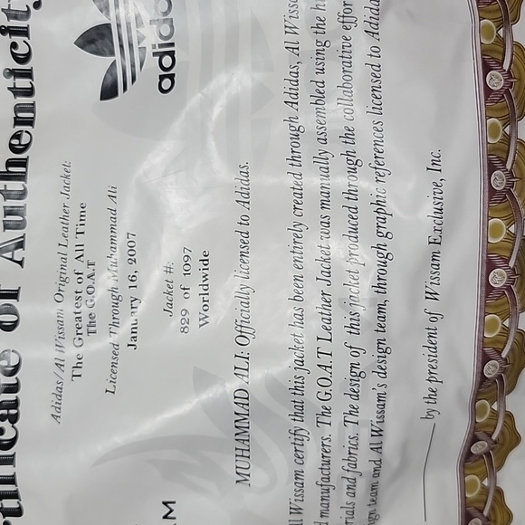 Coat - Picture 4 of 5